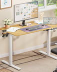Lukzer Electric Automatic Height Adjustable Sit Stand Desk for Home & Office | EST - 003 | (Black & Oak Brown/Black & Light Oak/Black & Black/White & White/White & Oak Light/White & Oak Brown)