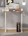 Lukzer Electric Automatic Height Adjustable Sit Stand Desk for Home & Office | EST - 003 | (Black & Oak Brown/Black & Light Oak/Black & Black/White & White/White & Oak Light/White & Oak Brown)