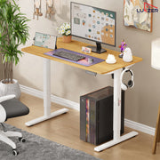 Lukzer Electric Automatic Height Adjustable Sit Stand Desk EST-003