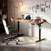 Lukzer Electric Height Adjustable Desk with USB & Type-C Study Table (EST-003/UC-Black & Oak Brown)