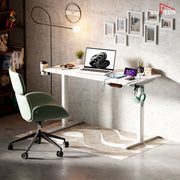 Lukzer Electric Height Adjustable Desk with USB & Type-C Study Table (EST-003/UC-White & White)