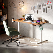 Lukzer Electric Height Adjustable Desk with USB & Type-C Study Table (EST-003/UC-White & Oak Brown)
