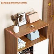 Lukzer 4-Tier Engineered Wood Shoe Organizer Rack Shelf with Door (SR-003/Oak Brown)