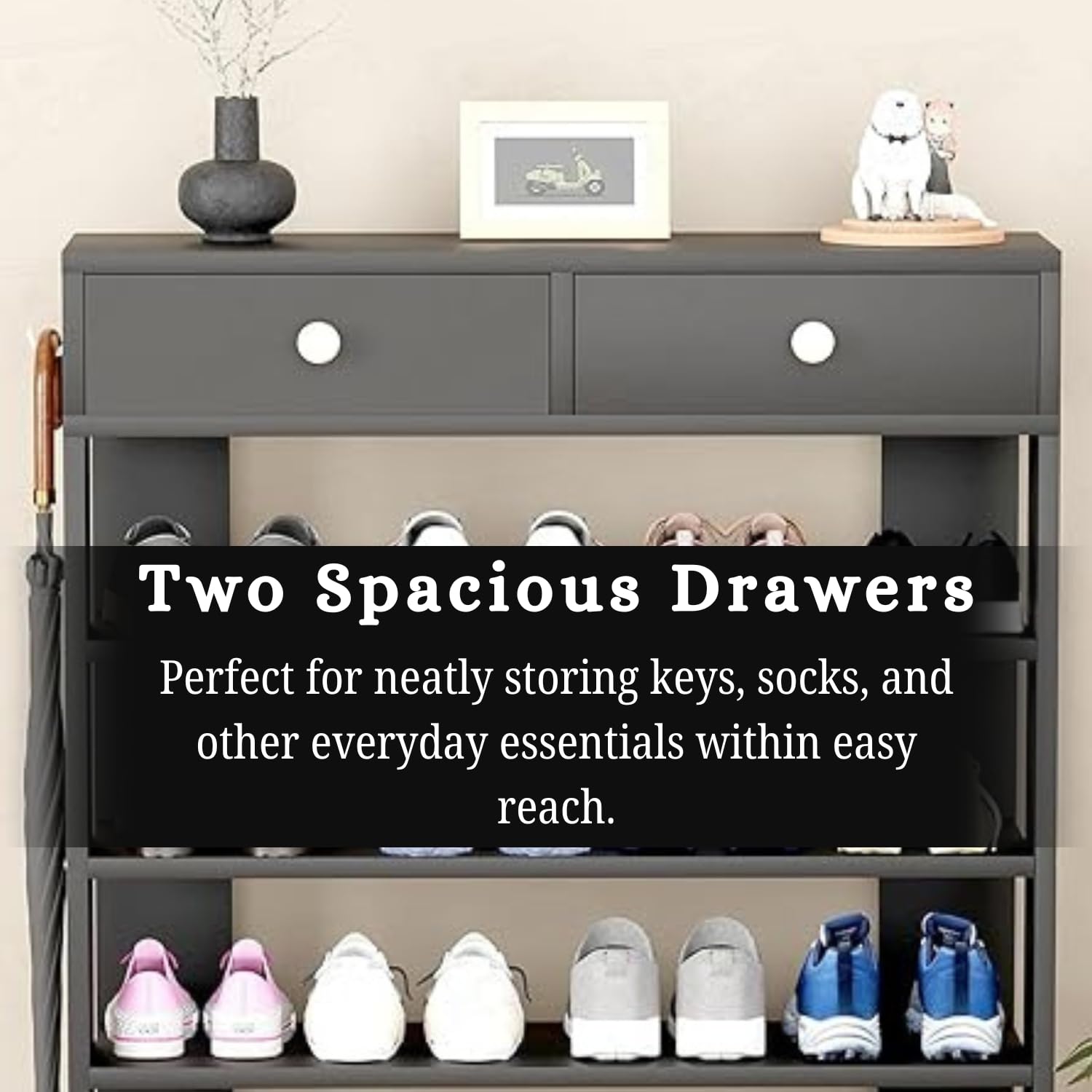 Lukzer 5-Tier Shoe Rack with Storage Drawers Engineered Wood Shoe Organizer (SR-001/Black)