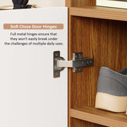 Lukzer 4-Tier Engineered Wood Shoe Organizer Rack Shelf with Door (SR-003/Oak Brown)
