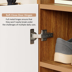 Lukzer 4-Tier Engineered Wood Shoe Organizer Rack Shelf with Door (SR-003/Oak Brown)