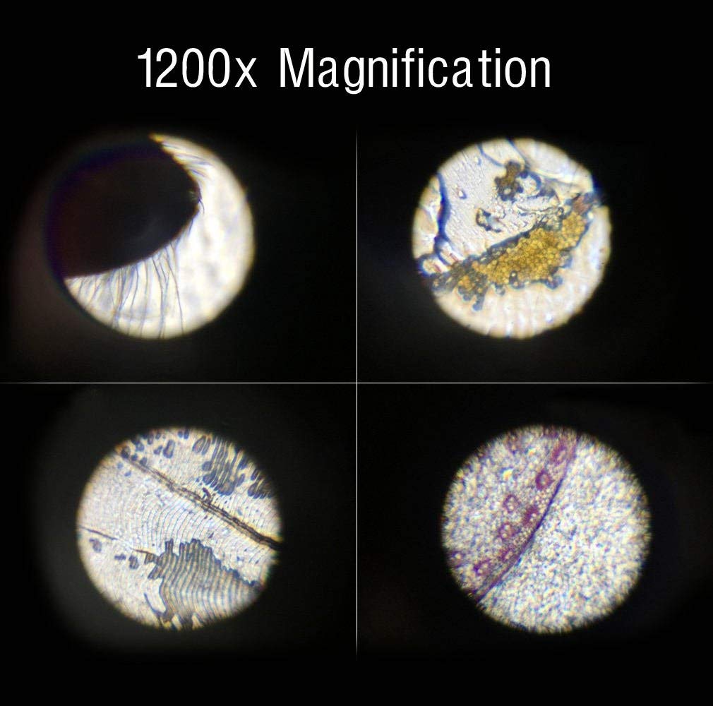 Lukzer Microscope Kit with LED 100X 400X and 1200X Magnification