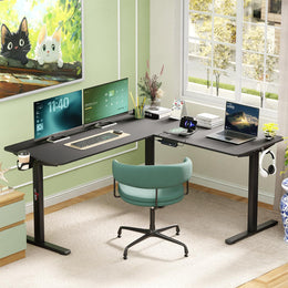 Lukzer Electric Height Adjustable Desk with USB & Type-C Study Table (EST-001/UC-Black & Black)