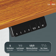 Lukzer Electric Height Adjustable Desk with Monitor Riser USB & Type-C Sit-Stand Table (EST-004/White & Oak Brown)